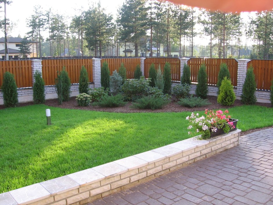 Озеленениетвдоль забора