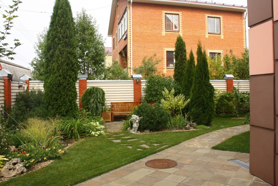 Патио хвойники у забора