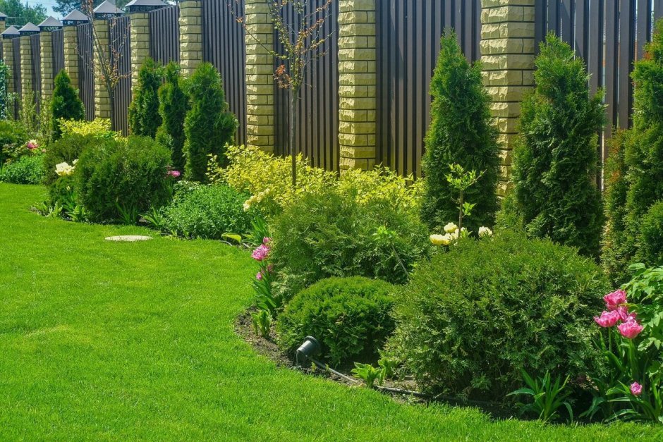 Придомовой ландшафт