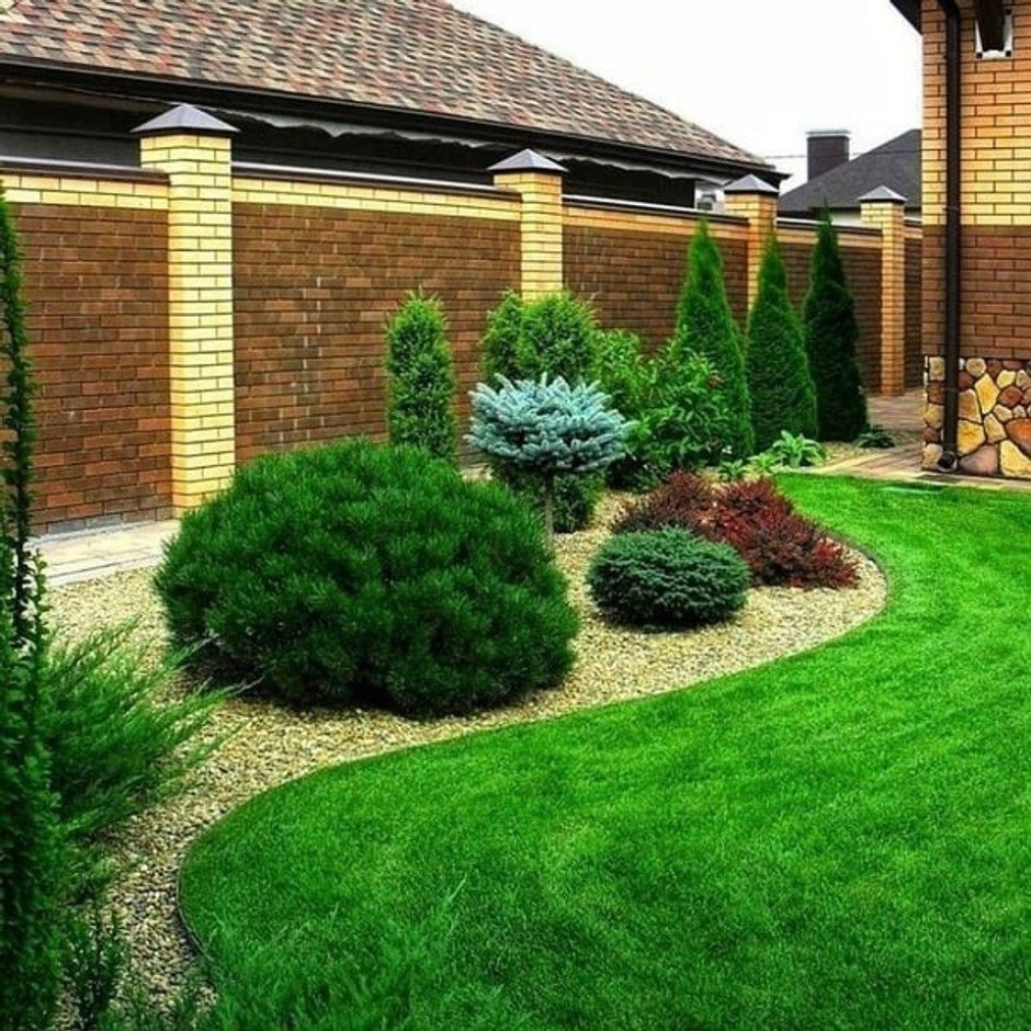 Туя Смарагд,можжевельник казацкий,Горная сосна-клумба