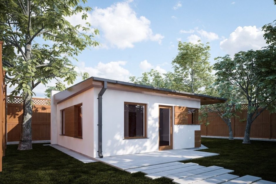 Дом с односкатной крышей в скандинавском стиле