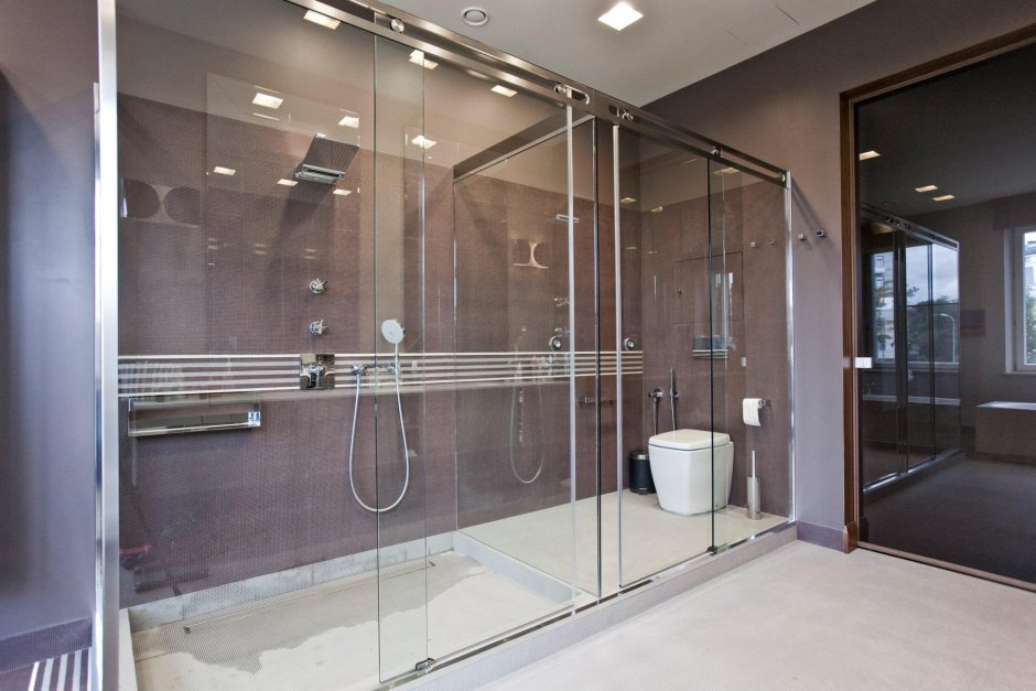 Стеклянные сантехнические перегородки