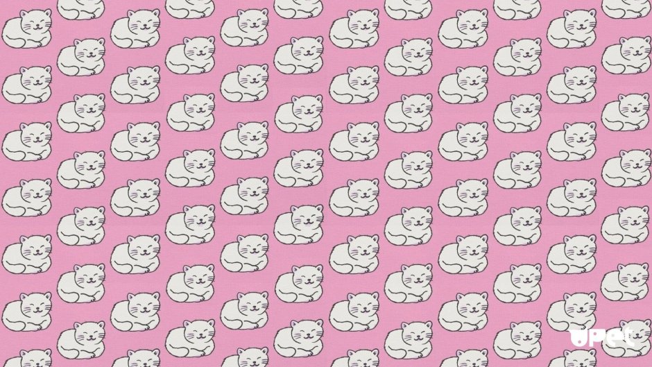Фон с котиками