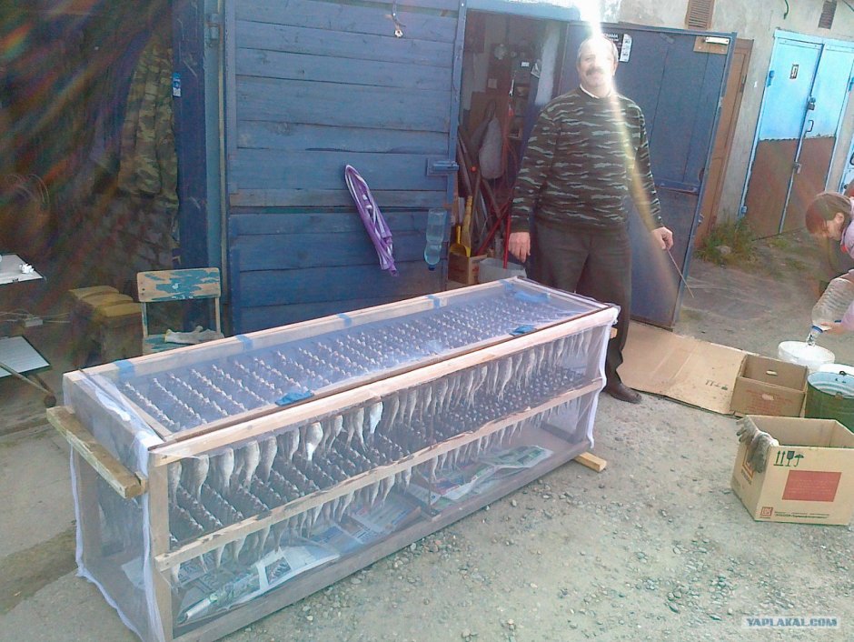 Самодельная сушилка для рыбы с вентилятором