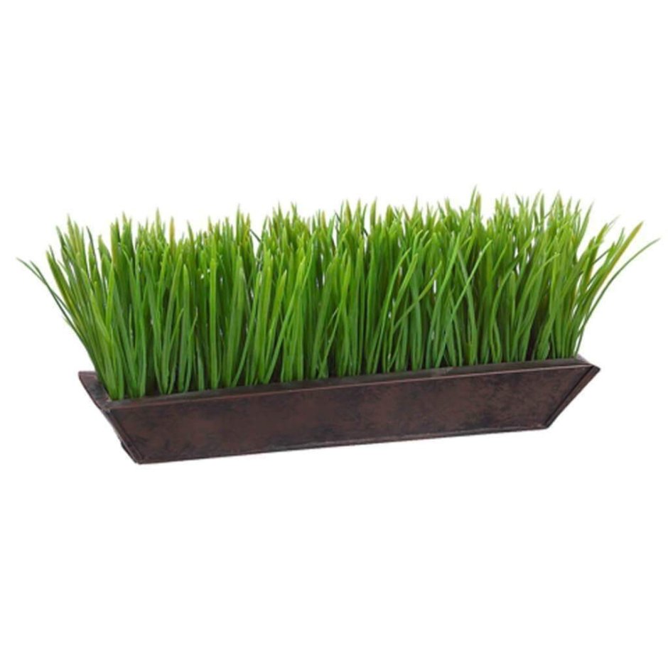 Декоративная трава в горшках