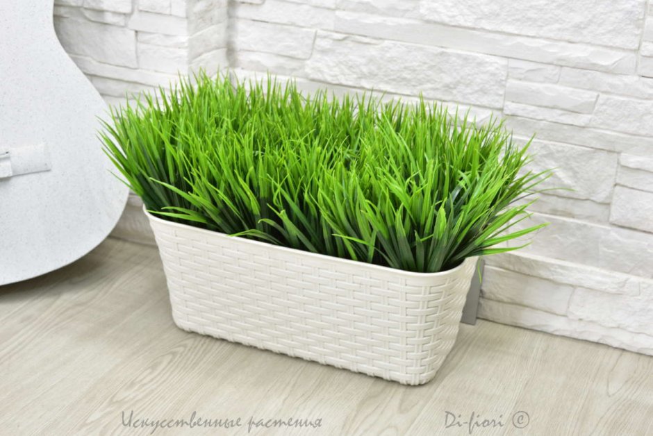 Кашпо икеа Осока