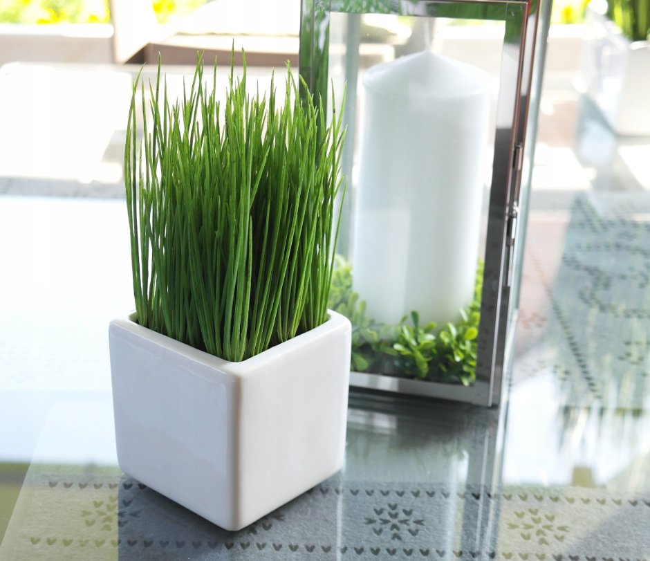 Искусственная трава в горшке
