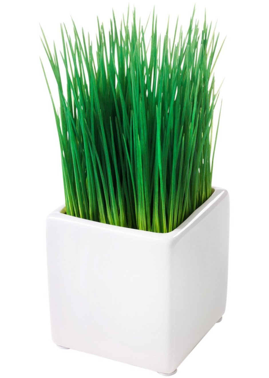 Газон в горшке