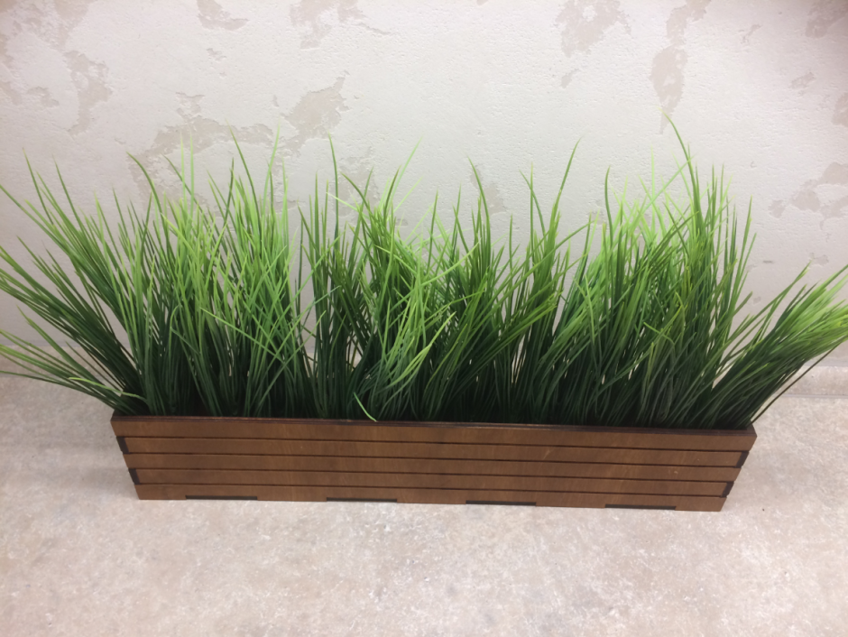 Декоративная трава в горшках