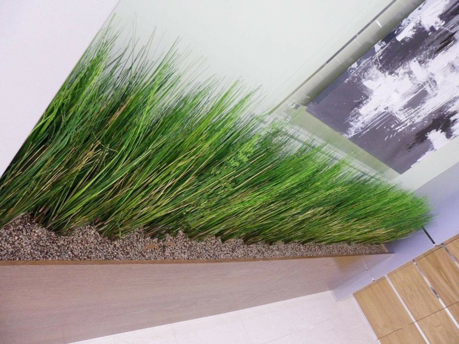 Трава в горшках для интерьера