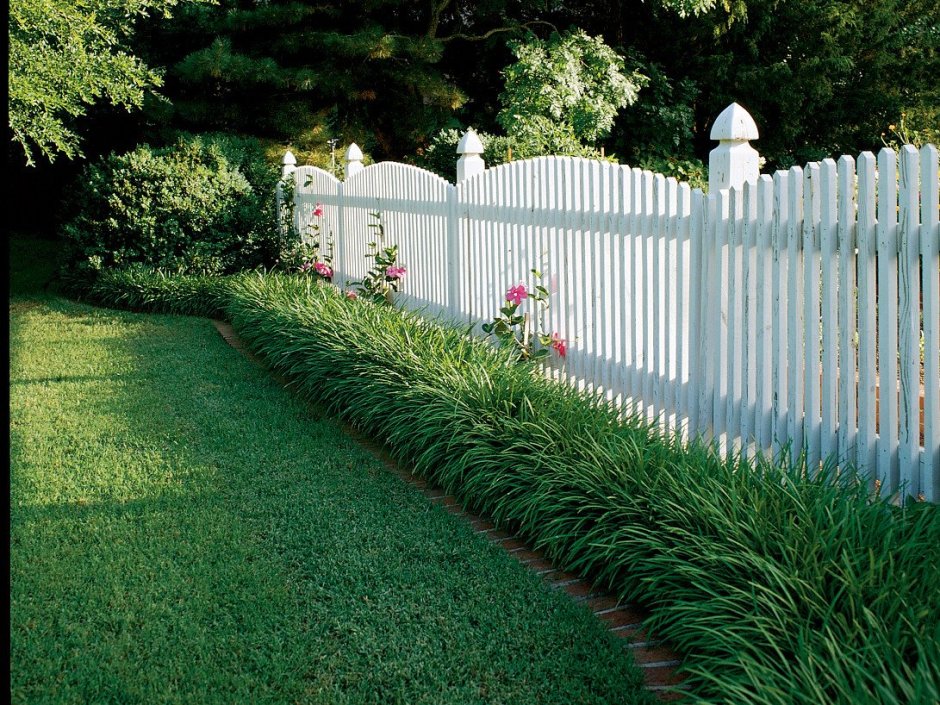 Забор белый