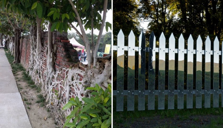 Дейзи узкий забор