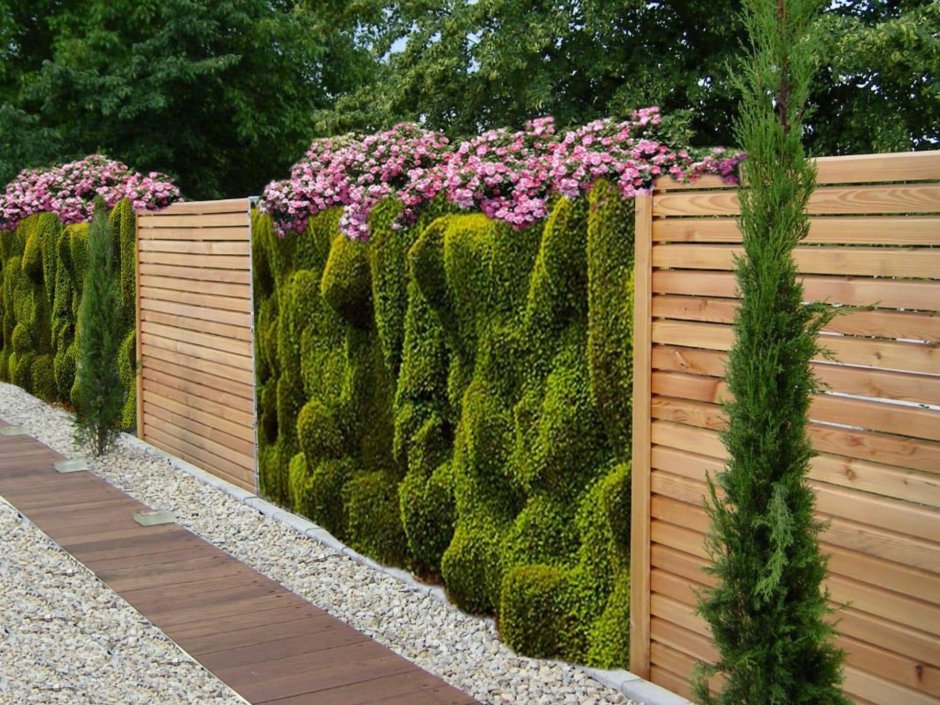 Однопородная Живая изгородь