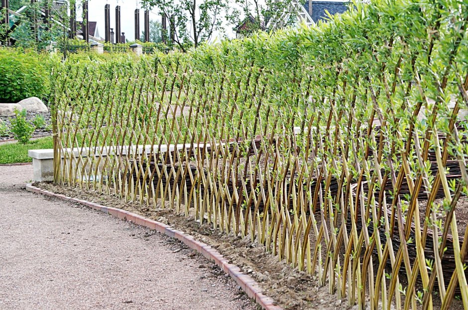 Эко изгородь