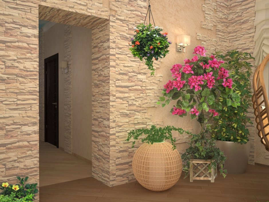 Комнатные растения в прихожей