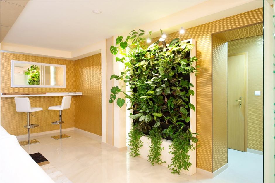 Фитодизайн вертикальное Озеленение