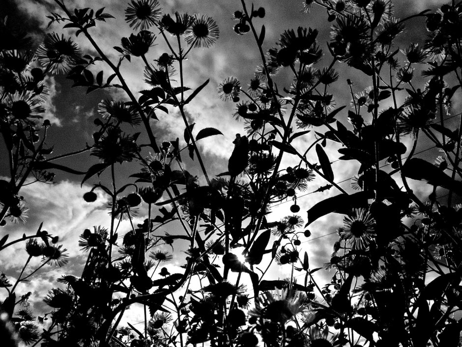 Черно белая Эстетика