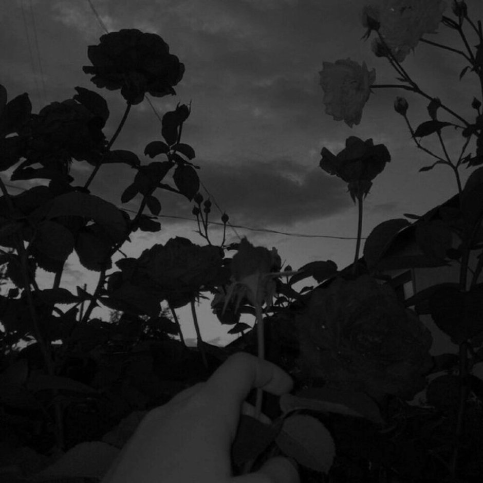 Эстетика черного