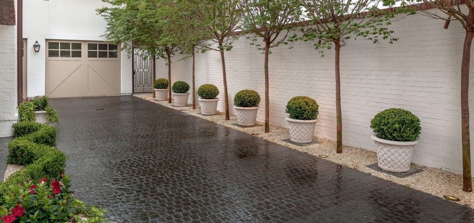 Озеленение участка перед домом