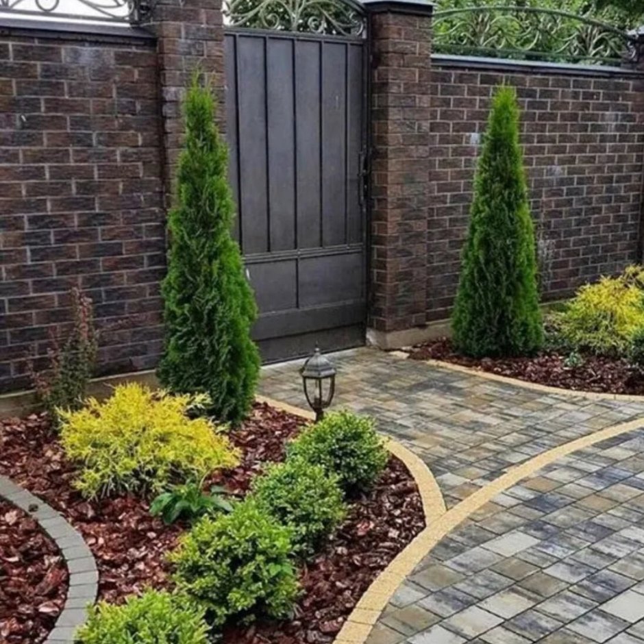 Тенистый хвойный палисадник