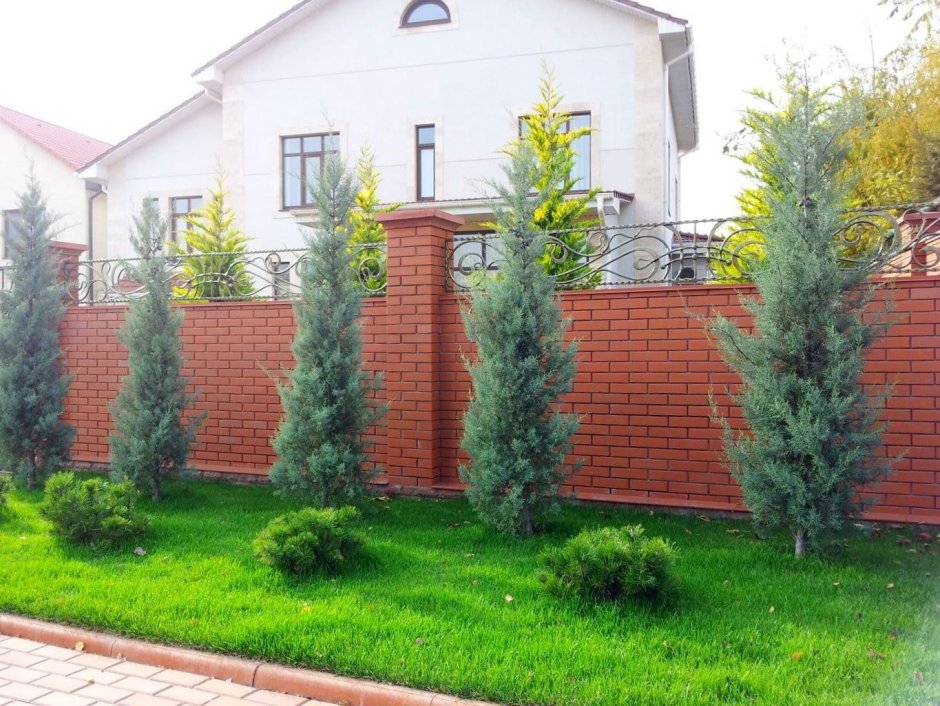 Благоустройство участка перед домом