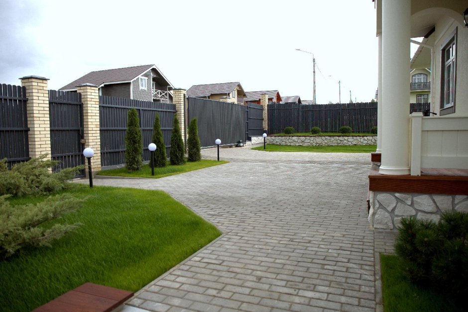 Туя Смарагд и Даника в ландшафте