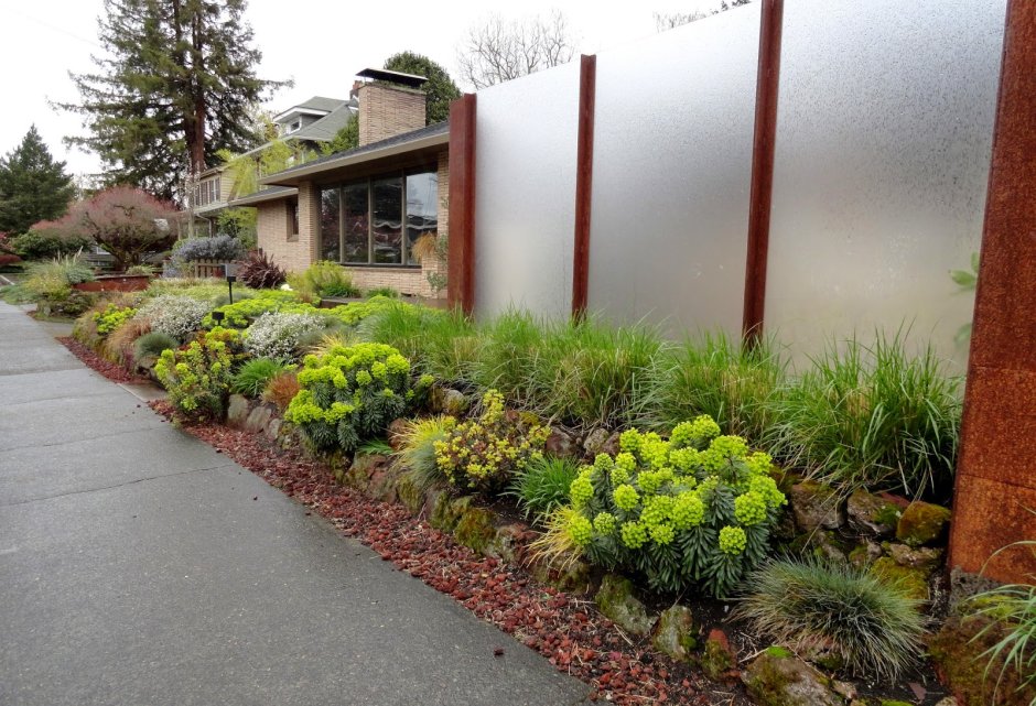 Узкая клумба вдоль дорожки