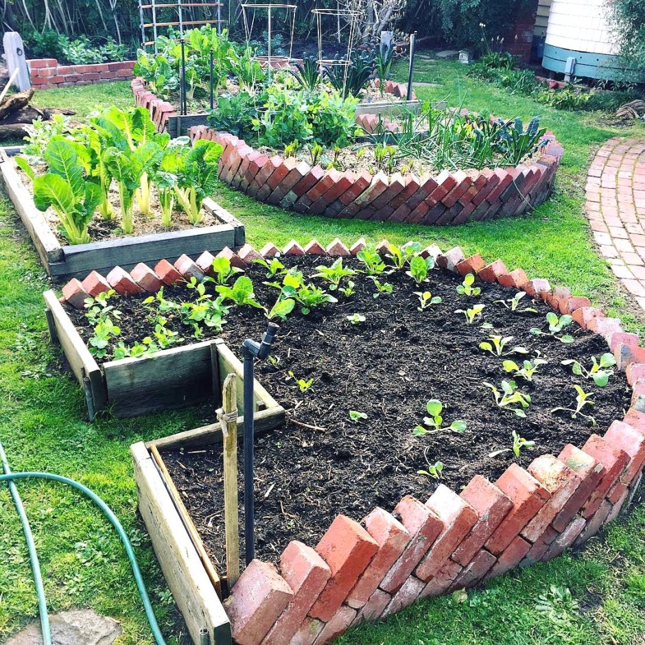 Грядки из кирпича