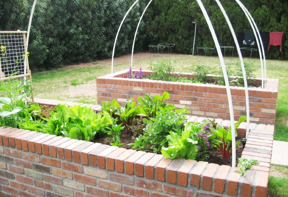 Грядки на участке из бетонной