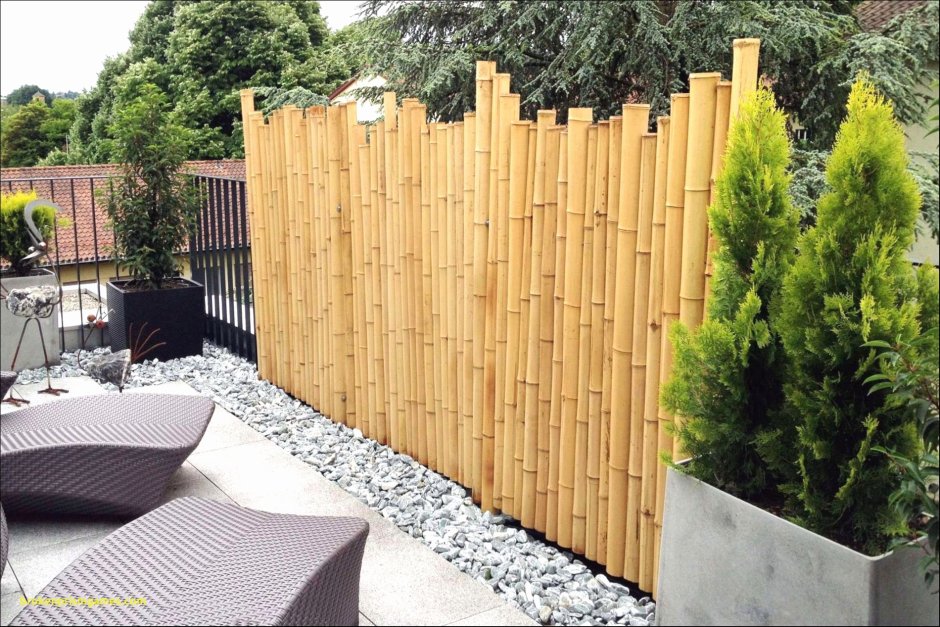 Забор из бамбука