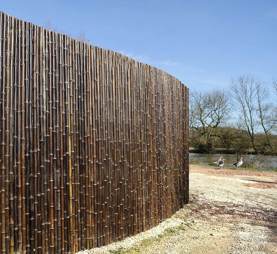 Камышовый забор 2х6м.