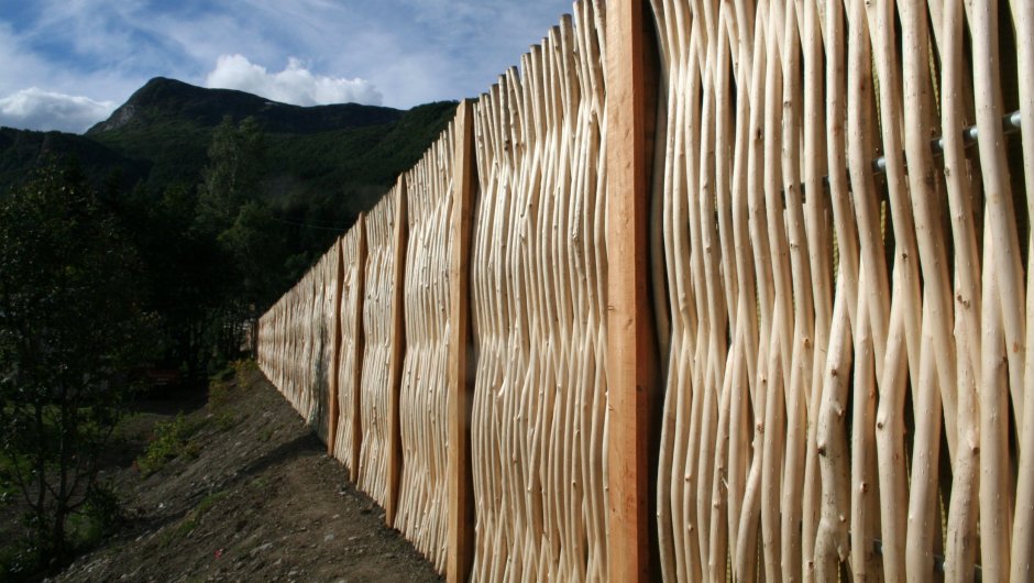 Бамбуковый забор высокий