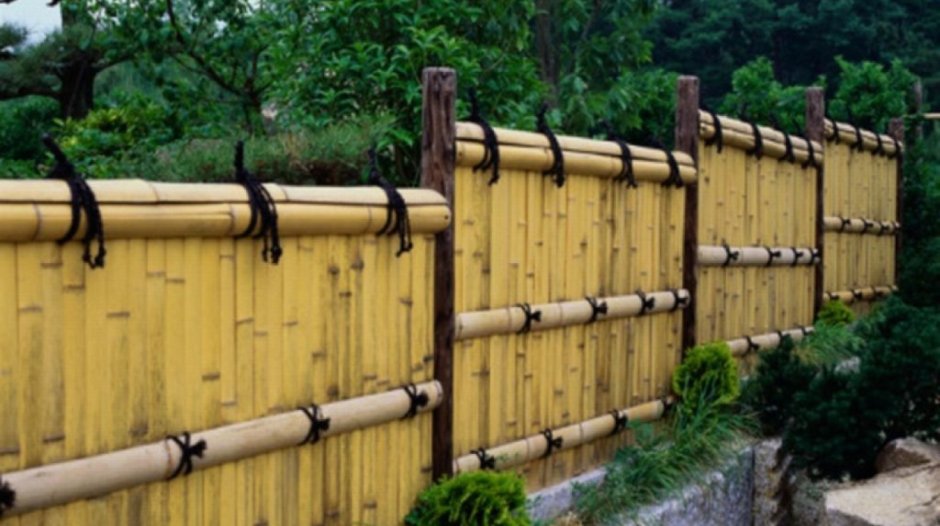 Необычные дешевые заборы