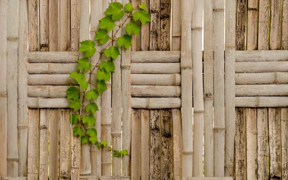 Плетень из бамбука