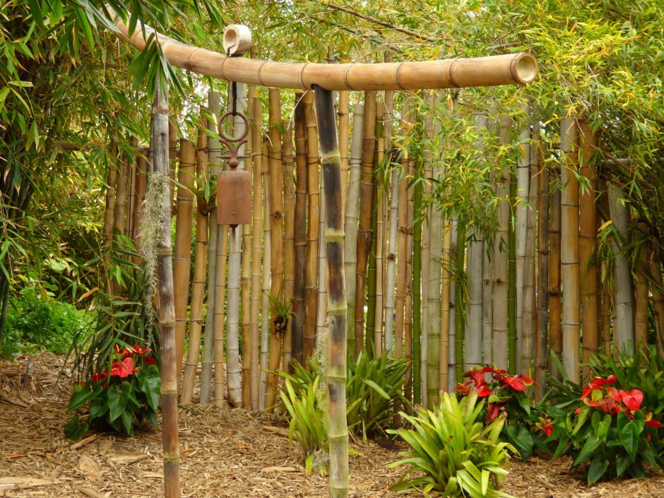 Бамбуковый сад Кью