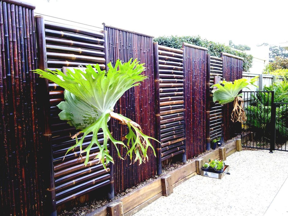 Необычный забор из профнастила