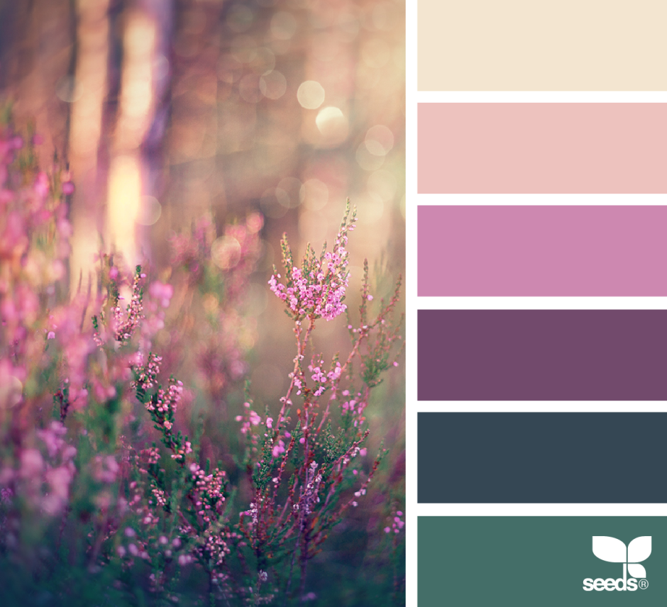 Колор Романюк палитра