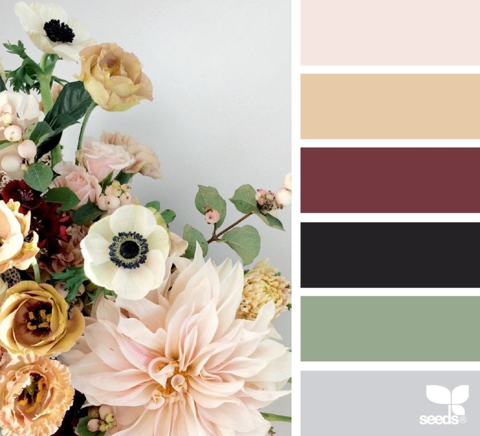 Цветовая палитра Color.romanuke