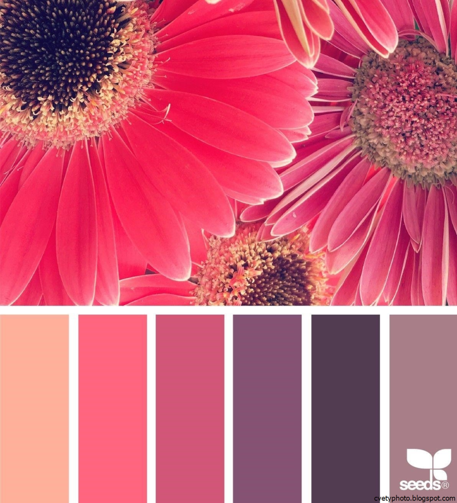 Цветовые Палитры romanuke