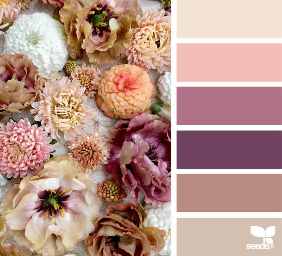 Цветовая гамма цветосочетание