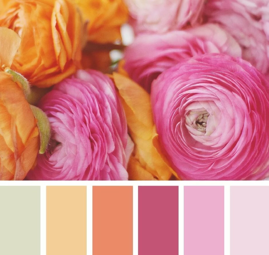 Цветовые Палитры romanuke