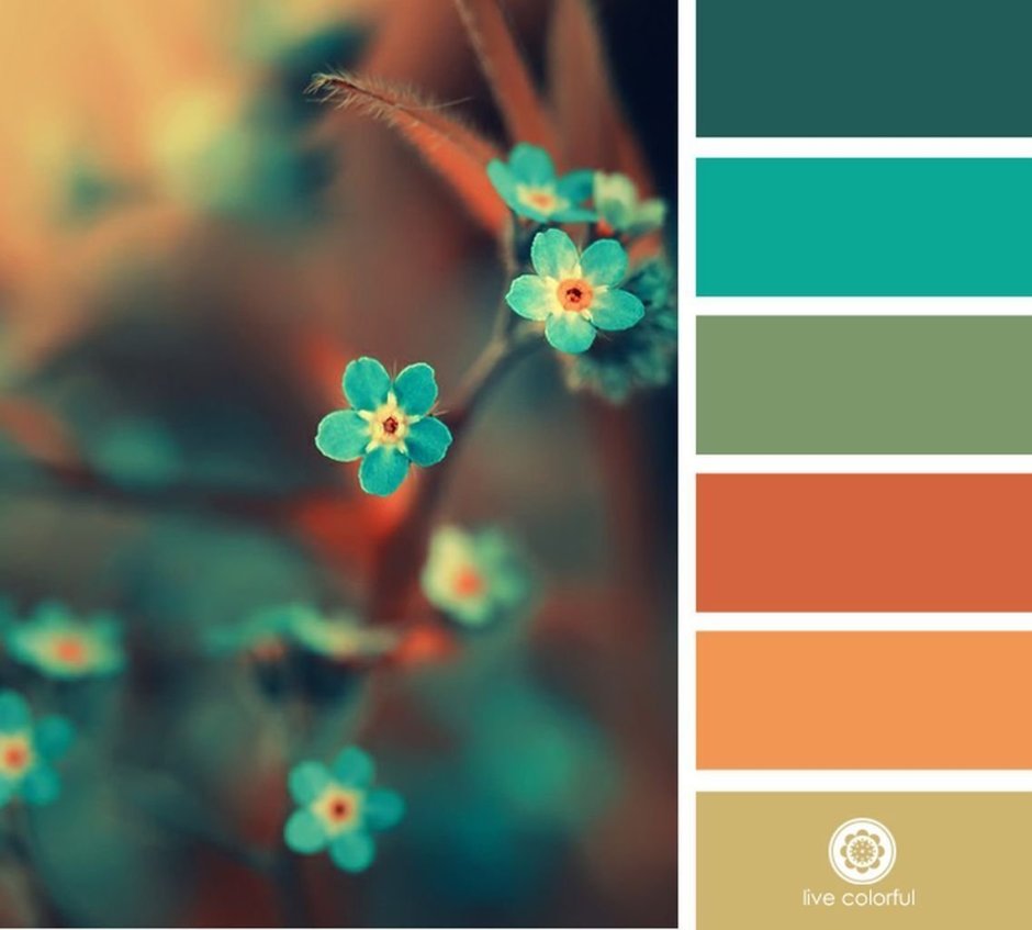 Цветовые сочетания