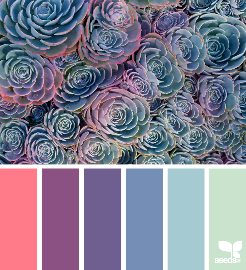 Цветовые Палитры romanuke