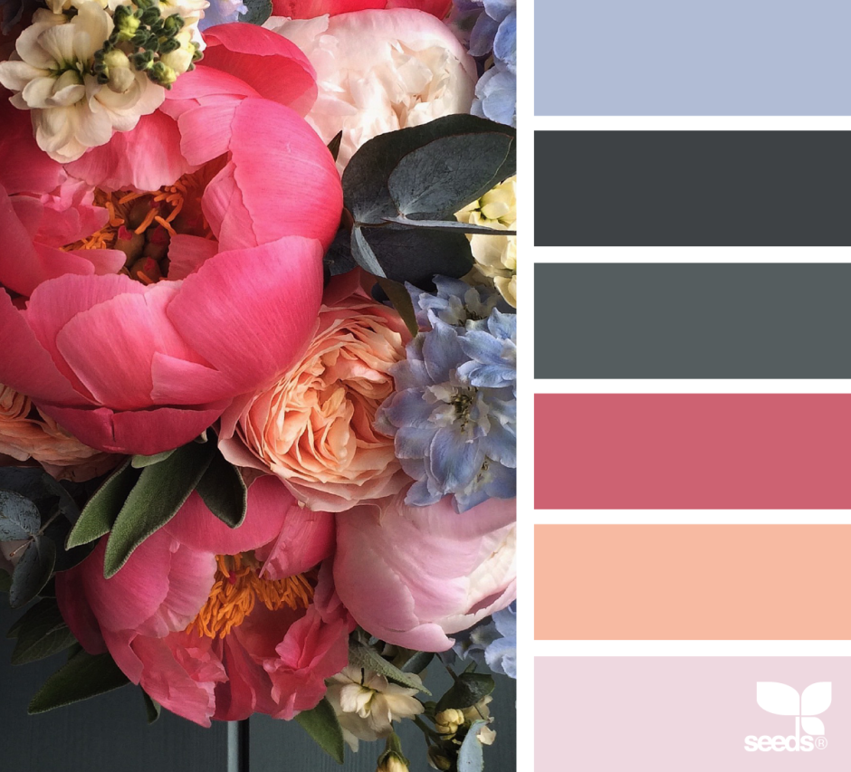 Шикарное сочетание цветов