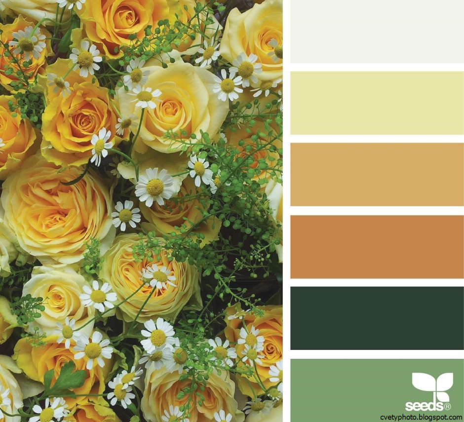 Сочетание сложных цветов