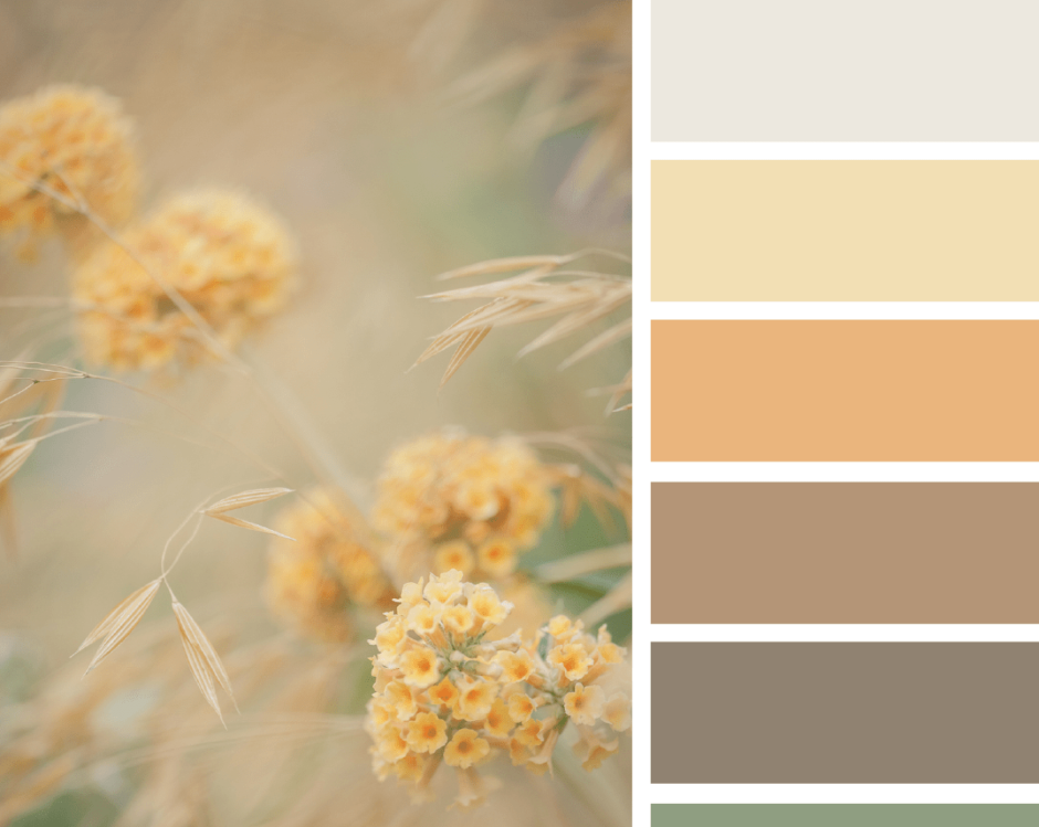 Цветовая палитра пейзаж