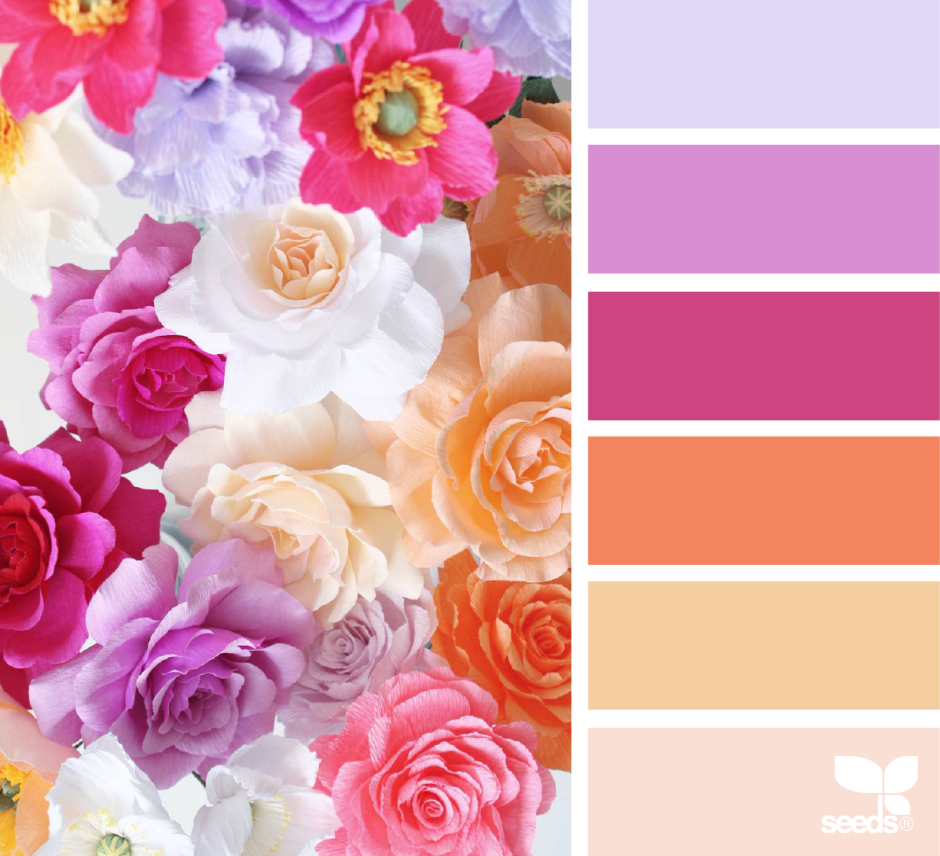 Цвета в питоне названия