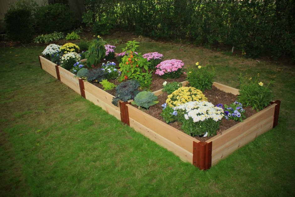 Прямоугольные цветники на даче