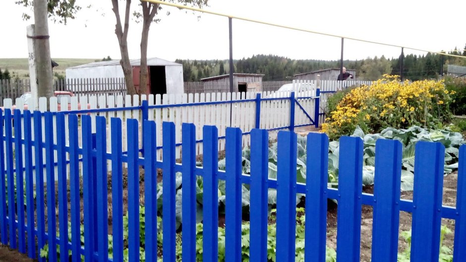 Забор из синего штакетника