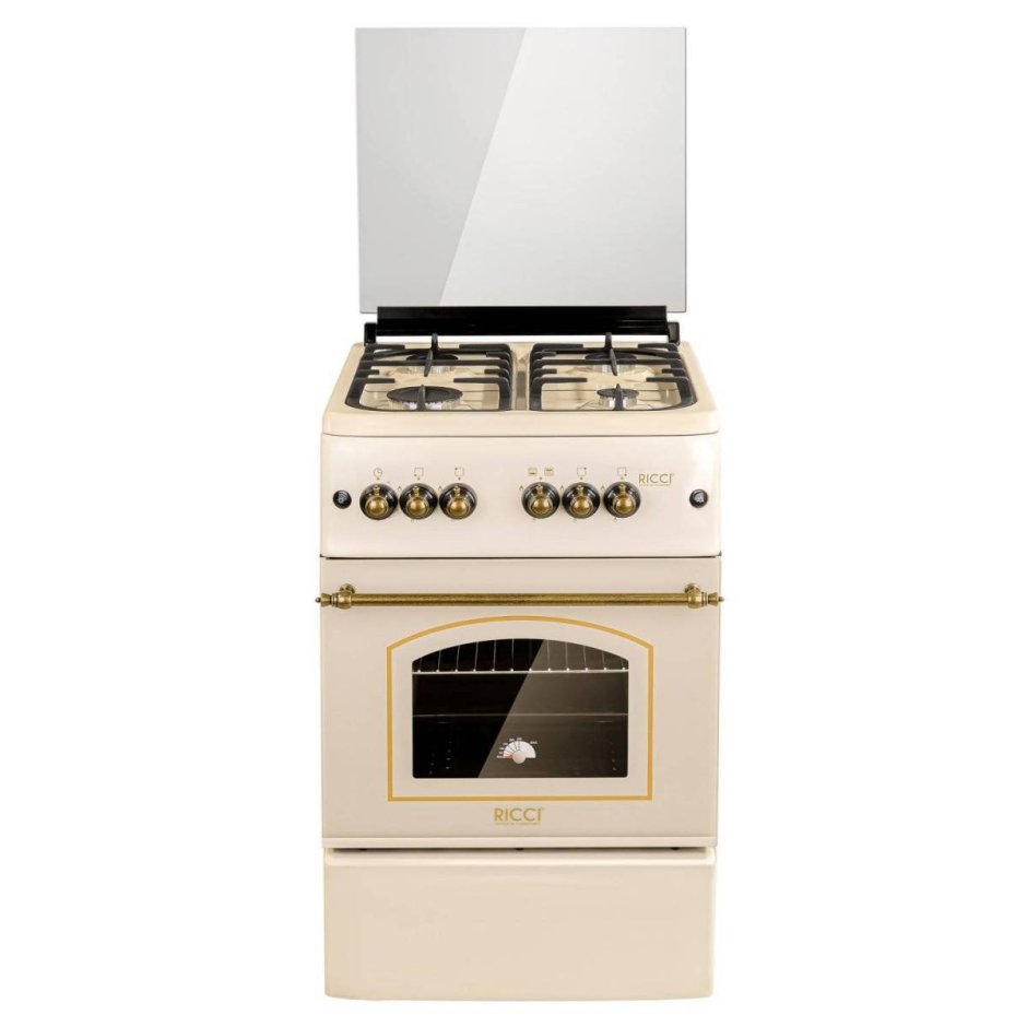 Эл./ГАЗ плита мечта-251-01гэ